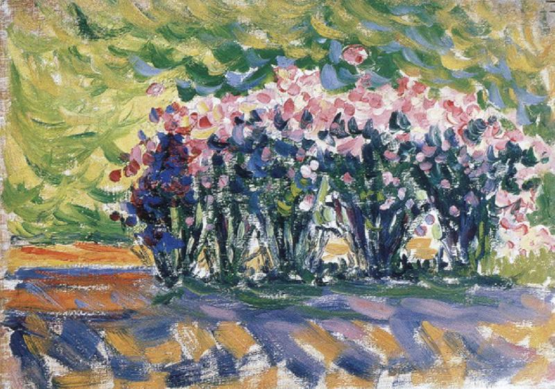 Paul Signac oleanders Germany oil painting art